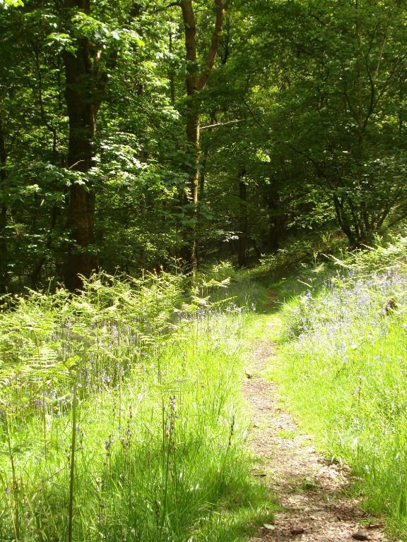 Crosslands Farm Hotell Kendal Eksteriør bilde